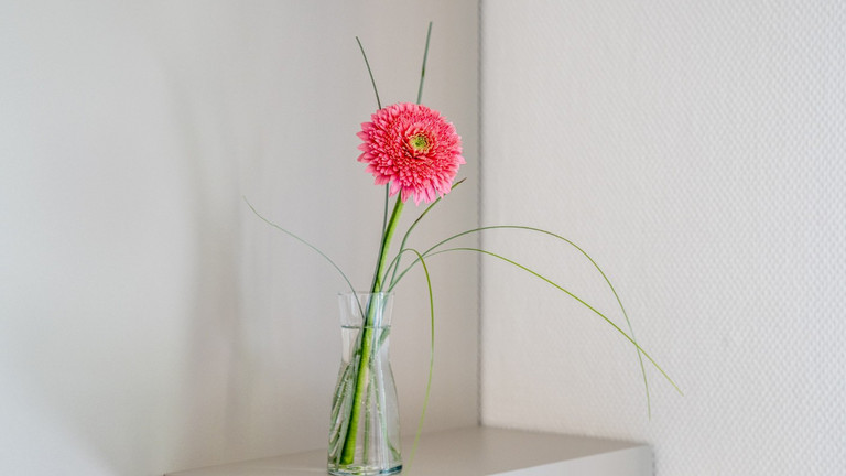Blumenvase auf einem Regal auf der Wahlleistungsstation des Albertinen Herz- und Gefäßzentrums Blumenvase auf einem Regal auf der Wahlleistungsstation des Albertinen Herz- und Gefäßzentrums